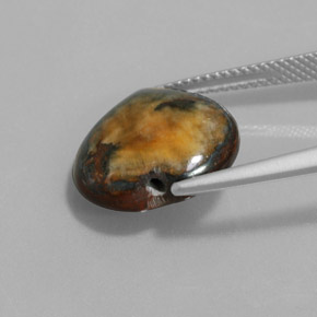 Tiger's Eye Gemstone in 14.3 x 13.8 mm Size for Sale, Tiger's Eye Stone in Gold Brown Color