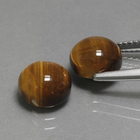 Tiger's Eye Gemstone in 8 mm (calibrated) Size for Sale, Tiger's Eye Stone in Gold Brown Color
