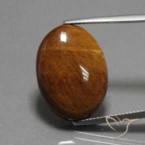 19.12ct Natural Warm Brown Tiger's Eye, Oval, Opaque