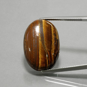 Gingerbread Brown Tiger's Eye Gem - 27.2ct Oval Cabochon (ID: 377131)