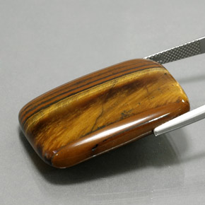 Tiger's Eye Gemstone in 32.8 x 23.9 mm Size for Sale, Tiger's Eye Stone in Gold Brown Color