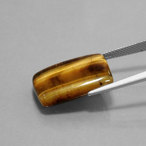 Tiger's Eye Gemstone in 20.6 x 13.9 mm Size for Sale, Tiger's Eye Stone in Gold Brown Color