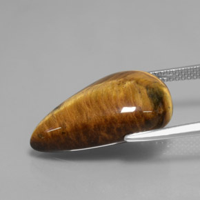 Tiger's Eye Gemstone in 20.8 x 13.2 mm Size for Sale, Tiger's Eye Stone in Gold Brown Color