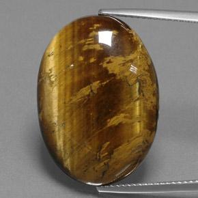 Medium Brown Tiger's Eye Gem - 25ct Oval Cabochon (ID: 384699)
