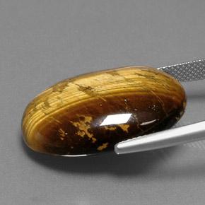 Tiger's Eye Gemstone in 24.8 x 17.9 mm Size for Sale, Tiger's Eye Stone in Golden Brown Color