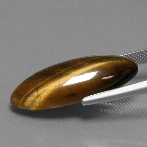 Tiger's Eye Gemstone in 27.3 x 11 mm Size for Sale, Tiger's Eye Stone in Gold Brown Color
