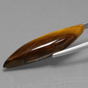 Tiger's Eye Gemstone in 38.1 x 9.5 mm Size for Sale, Tiger's Eye Stone in Gold Brown Color