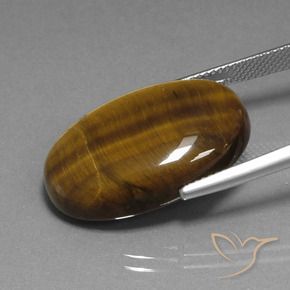 Tiger's Eye Gemstone in 24.7 x 16.5 mm Size for Sale, Tiger's Eye Stone in Yellowish Brown Color