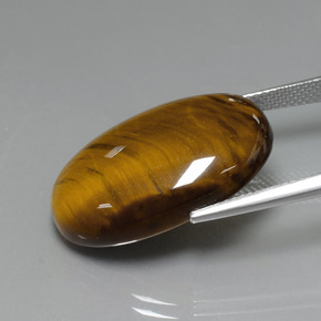 Tiger's Eye Gemstone in 24.6 x 16.5 mm Size for Sale, Tiger's Eye Stone in Gold Brown Color