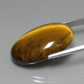 Tiger's Eye Gemstone in 24.7 x 16.6 mm Size for Sale, Tiger's Eye Stone in Gold Brown Color