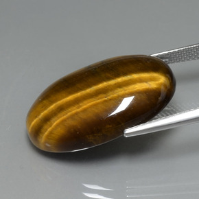 Tiger's Eye Gemstone in 24.8 x 16.6 mm Size for Sale, Tiger's Eye Stone in Golden Brown Color