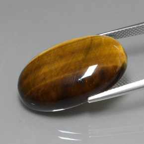 Tiger's Eye Gemstone in 24.8 x 16.6 mm Size for Sale, Tiger's Eye Stone in Gold Brown Color