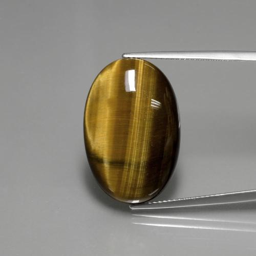 Marrón oscuro medio Ojo de Tigre Gema - 20.2ct Cabujón Óvalo (ID: 389950)