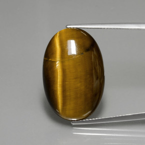 Warm Brown Tiger's Eye Gem - 18.9ct Oval Cabochon (ID: 389951)