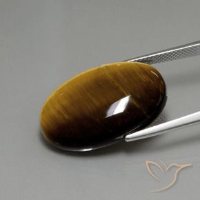 Tiger's Eye Gemstone in 24.7 x 16.6 mm Size for Sale, Tiger's Eye Stone in Medium Brown Color