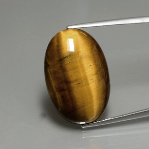 Warm Brown Тигриный Глаз Камень - 19.6ct Овал Кабошон (ID: 389954)