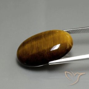 Tiger's Eye Gemstone in 24.8 x 16.6 mm Size for Sale, Tiger's Eye Stone in Medium Brown Color