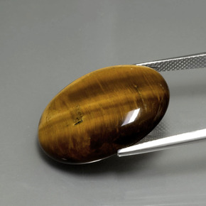 Tiger's Eye Gemstone in 25.2 x 20.3 mm Size for Sale, Tiger's Eye Stone in Gold Brown Color