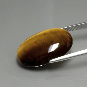 Tiger's Eye Gemstone in 24.7 x 16.7 mm Size for Sale, Tiger's Eye Stone in Gold Brown Color