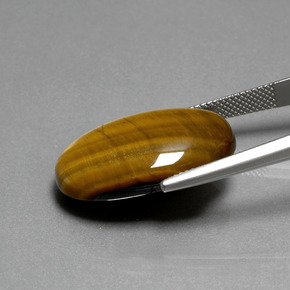Tiger's Eye Gemstone in 24.7 x 16.6 mm Size for Sale, Tiger's Eye Stone in Gold Brown Color