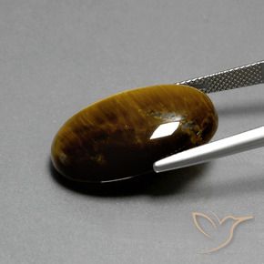 Tiger's Eye Gemstone in 24.7 x 16.6 mm Size for Sale, Tiger's Eye Stone in Warm Brown Color