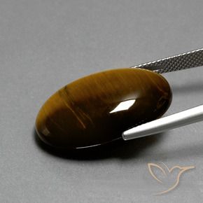 Tiger's Eye Gemstone in 24.7 x 16.6 mm Size for Sale, Tiger's Eye Stone in Medium Brown Color