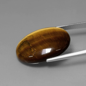 Tiger's Eye Gemstone in 25.3 x 20.2 mm Size for Sale, Tiger's Eye Stone in Gold Brown Color