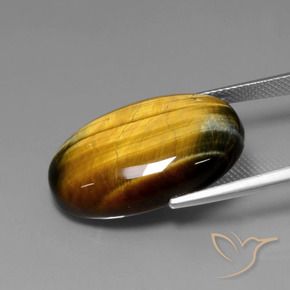 Tiger's Eye Gemstone in 24.8 x 16.7 mm Size for Sale, Tiger's Eye Stone in Medium Brown Color