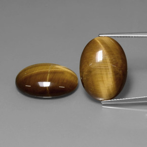 Marrón dorado Ojo de Tigre Gema - 10.7ct Cabujón Óvalo (ID: 390093)