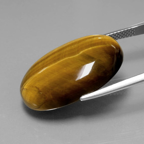 Tiger's Eye Gemstone in 24.7 x 16.6 mm Size for Sale, Tiger's Eye Stone in Gold Brown Color