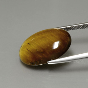 Tiger's Eye Gemstone in 18 x 13 mm (calibrated) Size for Sale, Tiger's Eye Stone in Gold Brown Color