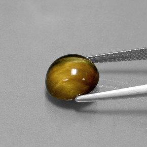 Tiger's Eye Gemstone in 10 mm (calibrated) Size for Sale, Tiger's Eye Stone in Gold Brown Color
