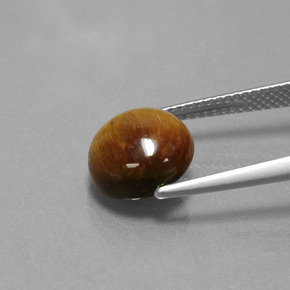 Tiger's Eye Gemstone in 10 mm (calibrated) Size for Sale, Tiger's Eye Stone in Gold Brown Color