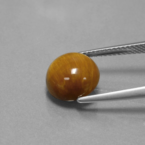 Tiger's Eye Gemstone in 10 mm (calibrated) Size for Sale, Tiger's Eye Stone in Gold Brown Color