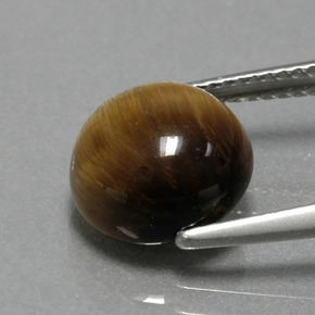 Tiger's Eye Gemstone in 10 mm (calibrated) Size for Sale, Tiger's Eye Stone in Gold Brown Color