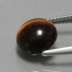 Tiger's Eye Gemstone in 9 mm (calibrated) Size for Sale, Tiger's Eye Stone in Gold Brown Color
