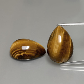 11.4ct Pear Cabochon Gold Brown Tiger's Eye Gem for sale 11.4ct Pear Cabochon Gold Brown Tiger's Eye Gem (ID: 390602)
