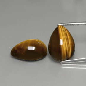 11.1ct Pear Cabochon Gold Brown Tiger's Eye Gem for sale 11.1ct Pear Cabochon Gold Brown Tiger's Eye Gem (ID: 390603)