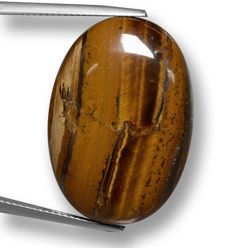 Reddish Brown Tiger's Eye Gem - 33.6ct Oval Cabochon (ID: 461847)