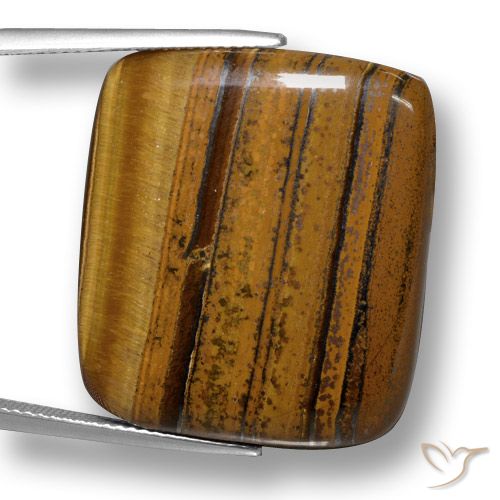 Cuscino da 41,49 ct con occhio di tigre, 27,3 x 23,9 mm dalla Thailandia, Photo A