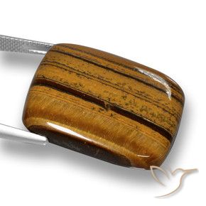 Tiger's Eye Gemstone in 27.3 x 23.9 mm Size for Sale, Tiger's Eye Stone in Gingerbread Brown Color