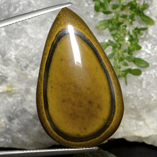 Yellowish Brown Tiger's Eye Gem - 45.5ct Pear Cabochon (ID: 471072)