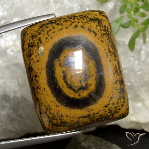 Cuscino da 50,95 ct con occhio di tigre, 23,9 x 19,7 mm dalla Thailandia, Photo A