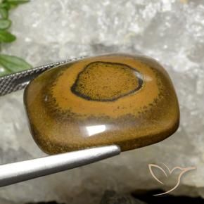 Tiger's Eye Gemstone in 31.4 x 19.9 mm Size for Sale, Tiger's Eye Stone in Golden Brown Color