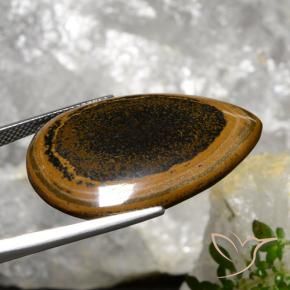 Tiger's Eye Gemstone in 32.1 x 23 mm Size for Sale, Tiger's Eye Stone in Pecan Brown Color