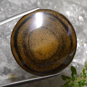 Brown Tiger's Eye Gem - 59ct Round Cabochon (ID: 471280)