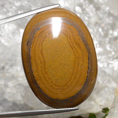 63.98ct Natural Golden Brown Tiger's Eye, Oval, Opaque
