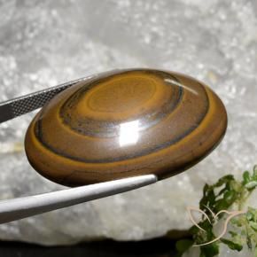 Tiger's Eye Gemstone in 34.7 x 27.1 mm Size for Sale, Tiger's Eye Stone in Cedar Brown Color