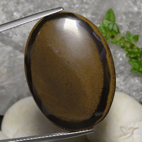 30.73ct Natural Hickory Brown Tiger's Eye, Oval, Opaque