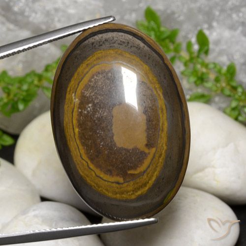 39.14ct Natural Warm Brown Tiger's Eye, Oval, Opaque